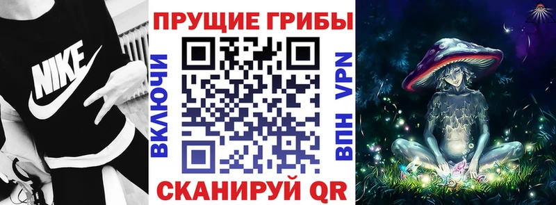 Галлюциногенные грибы Psilocybine cubensis  Грязовец 
