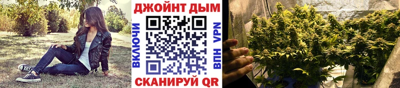 Бошки марихуана VHQ  гидра ONION  Грязовец 